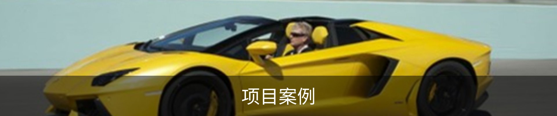 项目案例